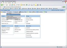 Store Manager demo 